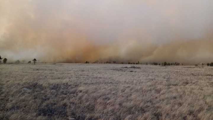 На тушение лесного пожара в Челябинской области направили дополнительно почти сотню спасателей