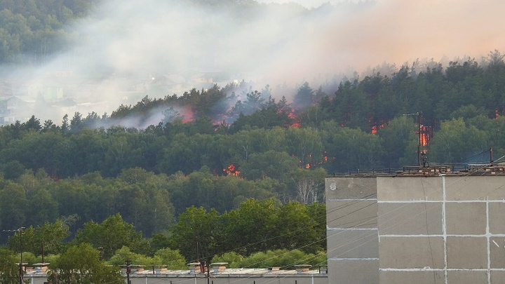 «Машинам туда не подъехать»: более ста пожарных тушат лес на Тургояке