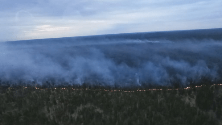 Крупный лесной пожар потушили в Лешуконском районе