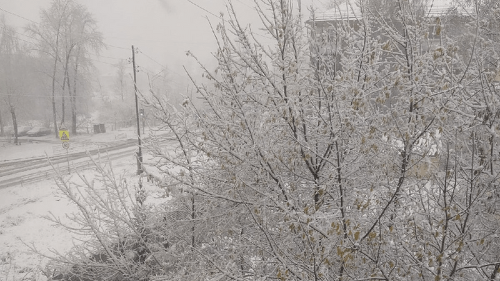 Готовьте зимнюю резину: на Урале выпал снег