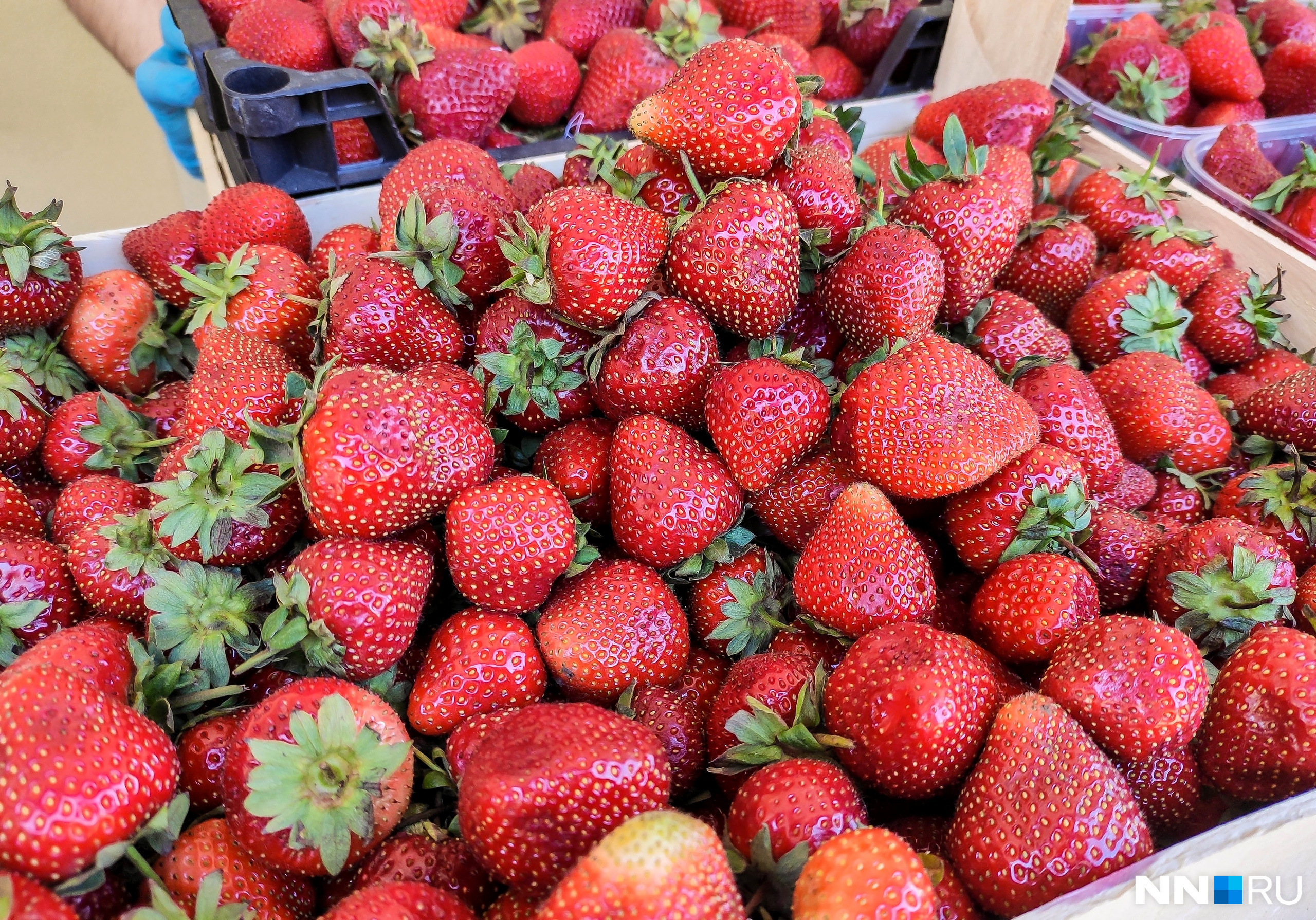 5 ягод клубники в день — суточная норма витамина С