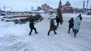 В Челябинске второй день идет снег. Синоптики рассказали, ждать ли сугробов к Новому году