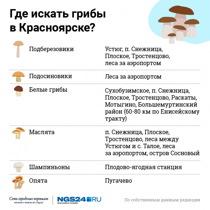 Где собирать грибы в Красноярске