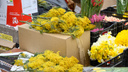 Нарциссы или тюльпаны: какие цветы дарят ростовчане на 8 Марта и сколько они стоят