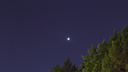 Можно увидеть раз в 8 лет: новосибирец снял Венеру в звездном скоплении Плеяд