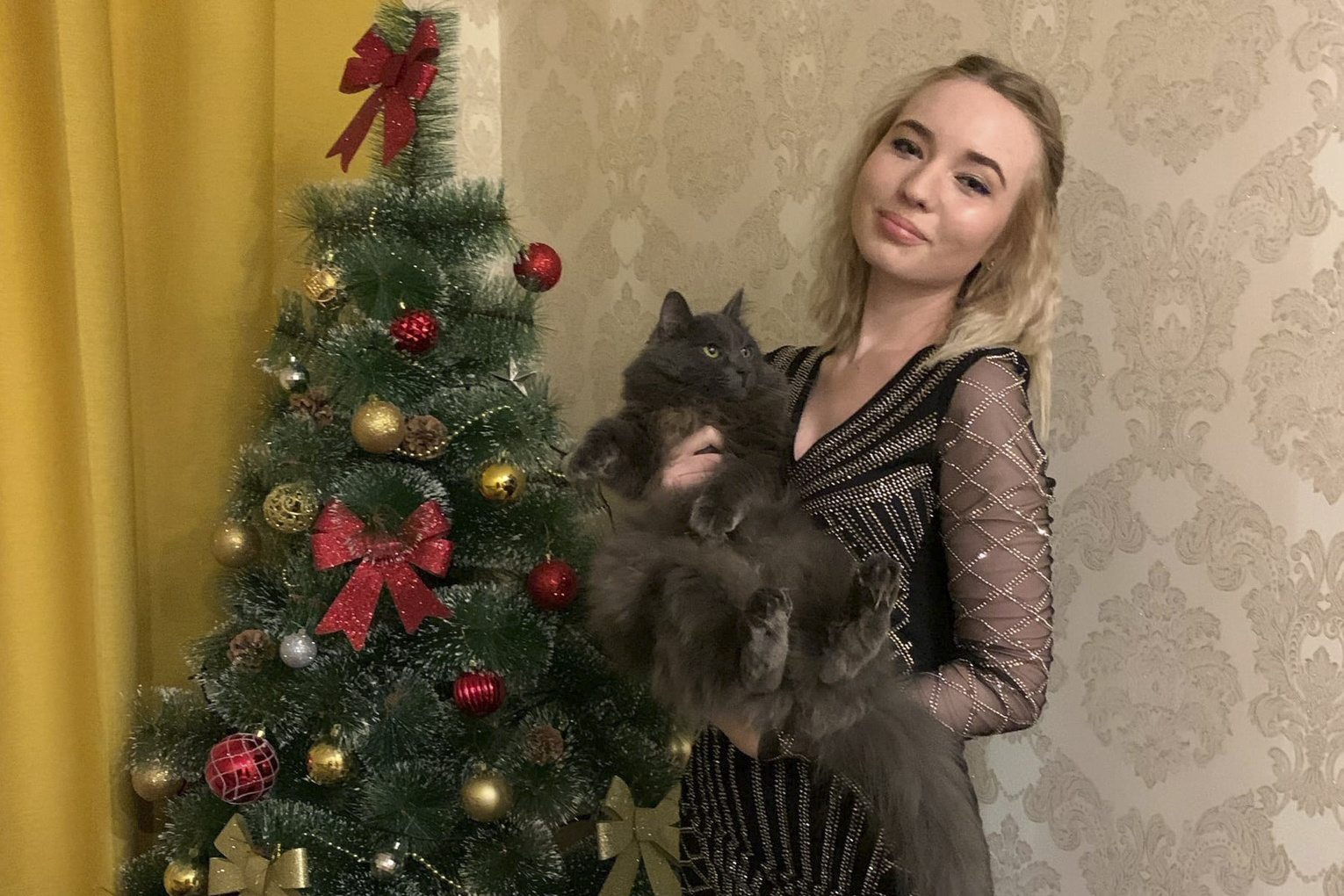 Девушка не смогла улететь в Питер без своего любимца Девушка не смогла улететь в Питер без своего любимца