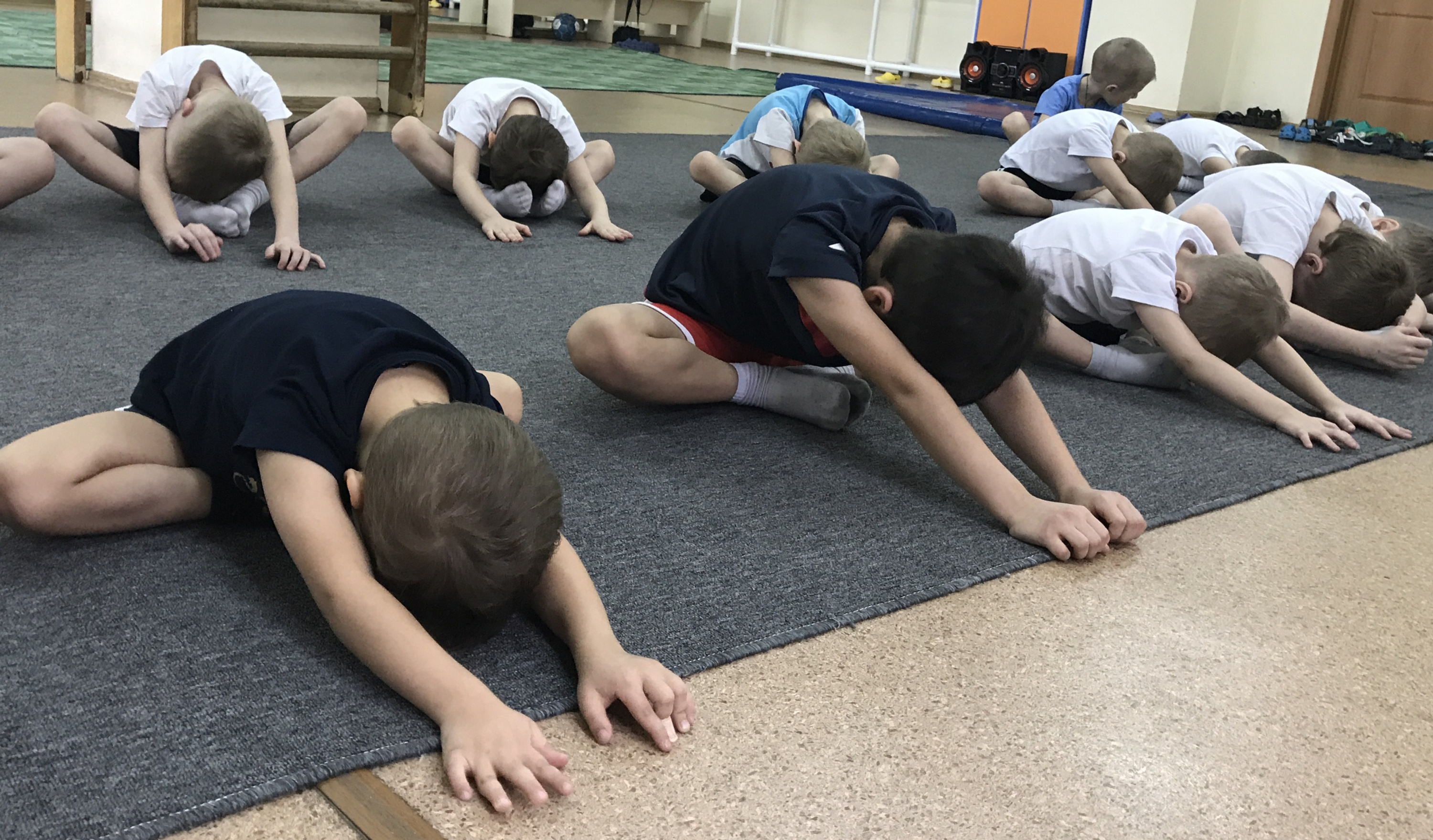 Детская академия спорта. Балтийский тренировочный центр. Учебная тренировка по случаю в Казани. Спортивные секции для детей в Деденево. Детский учебно-тренировочный центр АКРОДЖИМ фото.