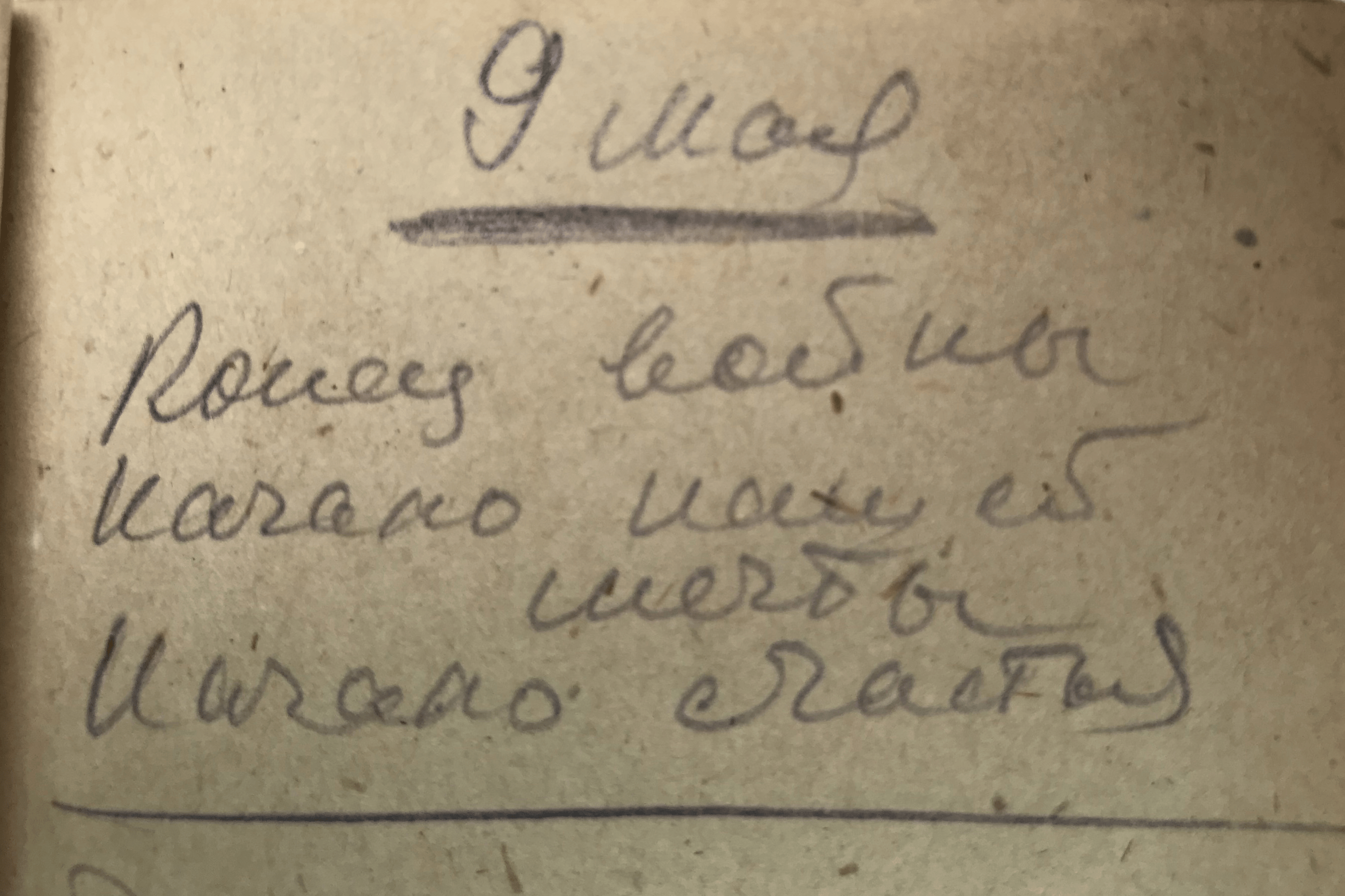 Эту запись Николай Синельников сделал 9 мая 1945 года Эту запись Николай Синельников сделал 9 мая 1945 года