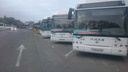Директор компании «Транс-Сервис Юг» заявил, что не отказывался от перевозок в Суворовский