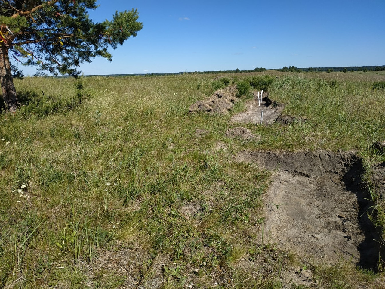 Савин курганская область святилище фото