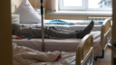 В Самарской области за неделю пневмонией заболели 4,3 тысячи человек