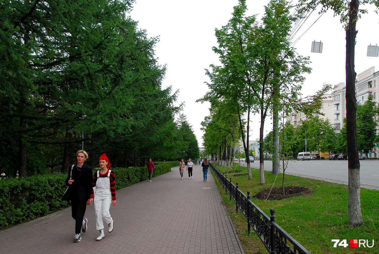 Деревья важны в том числе для защиты от пыли и шума дорог, но Челябинск полон парадоксов: липы вдоль проспекта Ленина превратили в одинокие пальмы и эффект от них почти нулевой