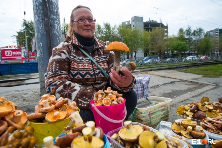 Грибы будут, готовьте лукошки Грибы будут, готовьте лукошки