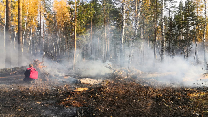 Под Самарой загорелись пять гектаров леса