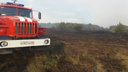 Ждём ликвидаций: в Волгоградской области взяты под контроль все природные пожары