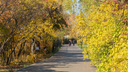 Самарский университет озвучил условия входа в Ботанический сад