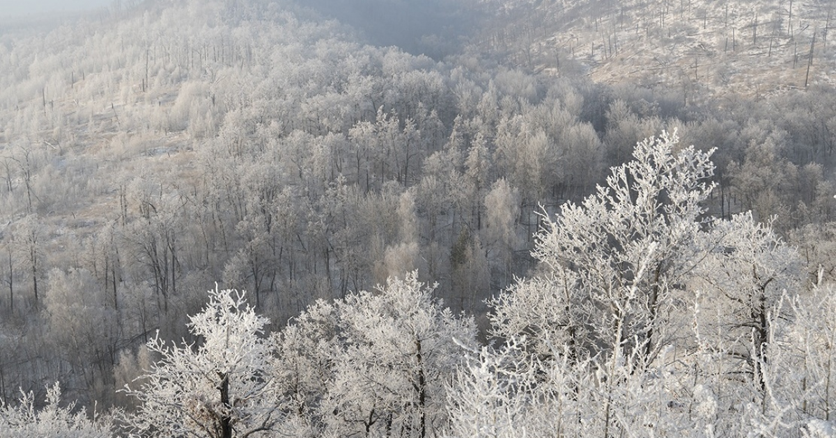 Самарская лука зимой