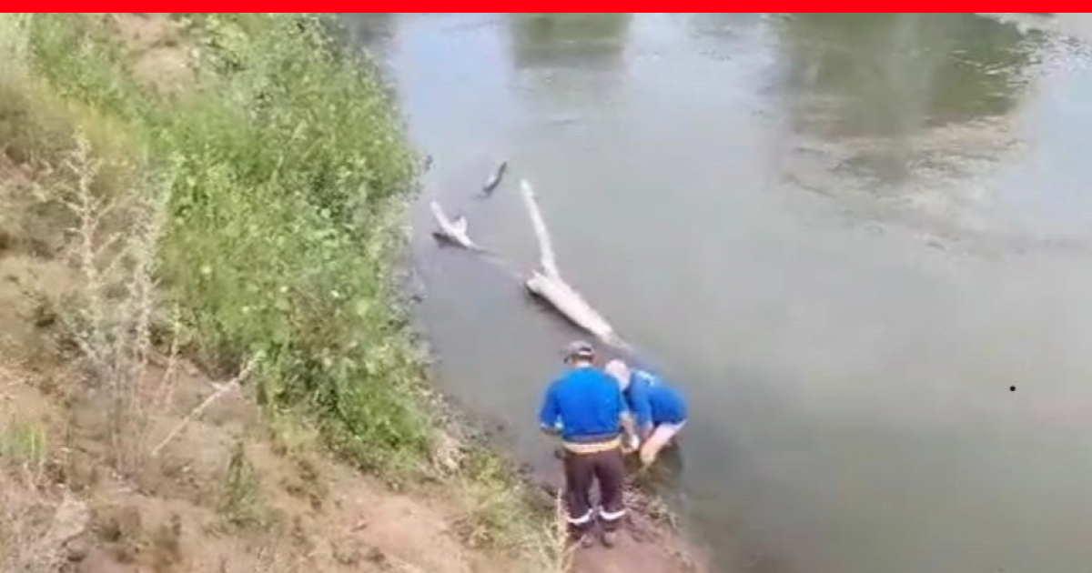 Человек выйдя из реки после купания даже. Люди которые утонули в реке.