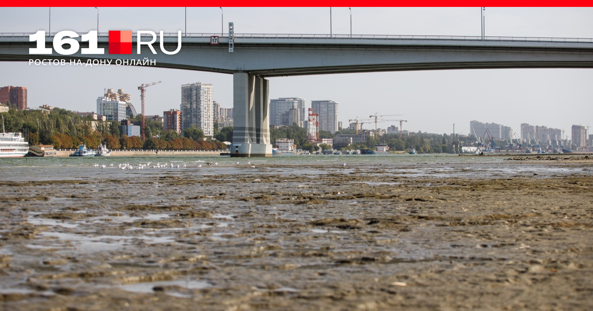 Как обмелела река Дон в городе Ростове в сентябре 2020 года - фоторепортаж  - 28 сентября 2020 - 161.ru
