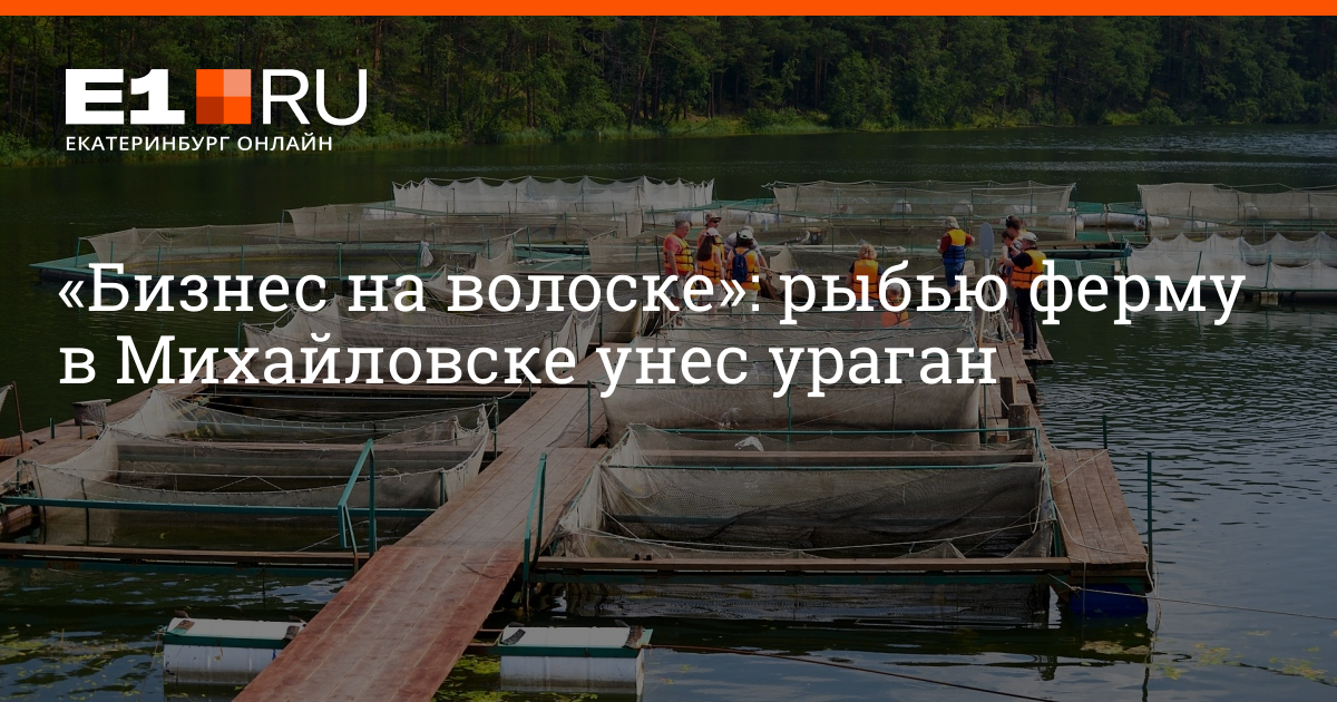 Ферма форель михайловск. Форелевая ферма михайловск. михайловск рыбная ферма. форелевая ферма михайловск свердловская обл. ферма форель в михайловске.