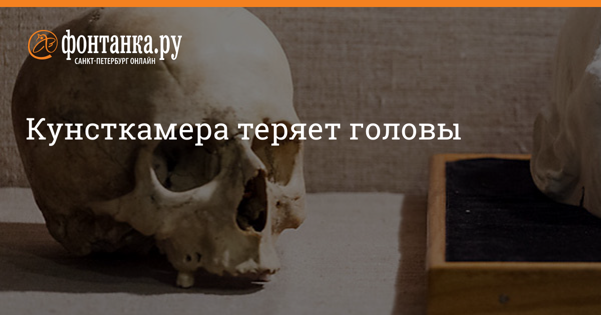 Голова хаджи мурата в музее санкт петербурга фото