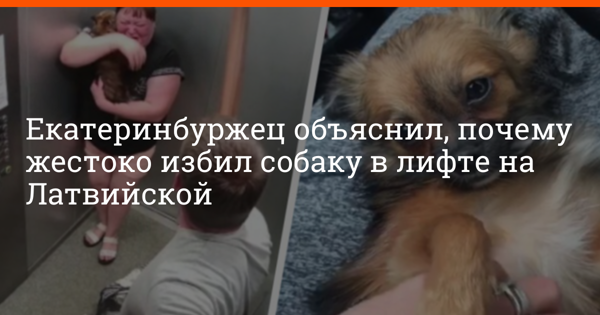 Жесток почему е. Человек избил собаку в лифте. Мужчина избил собаку в лифте.