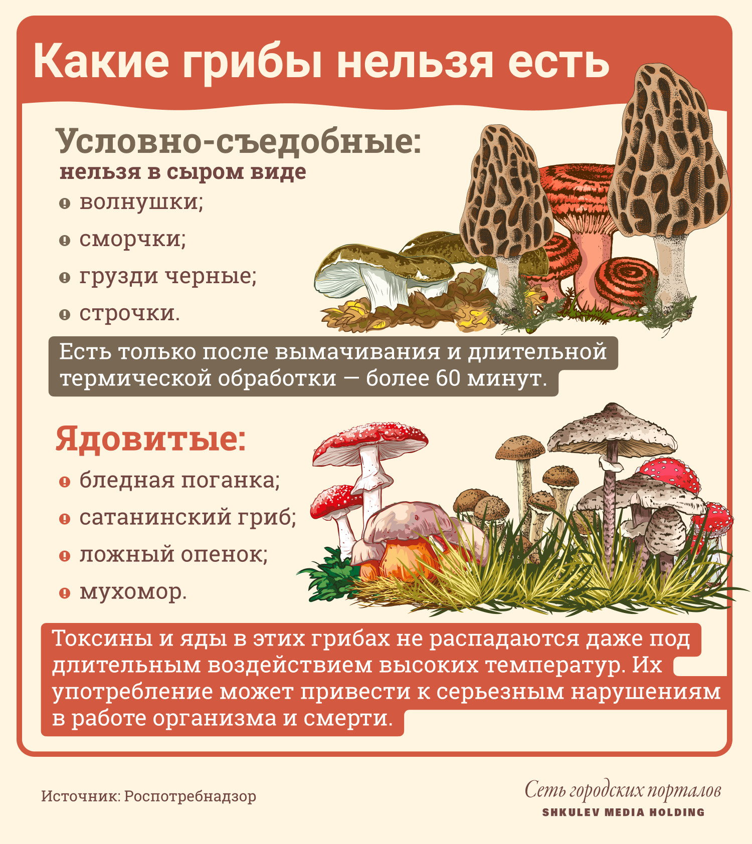 Какие грибы нельзя употреблять в пищу
