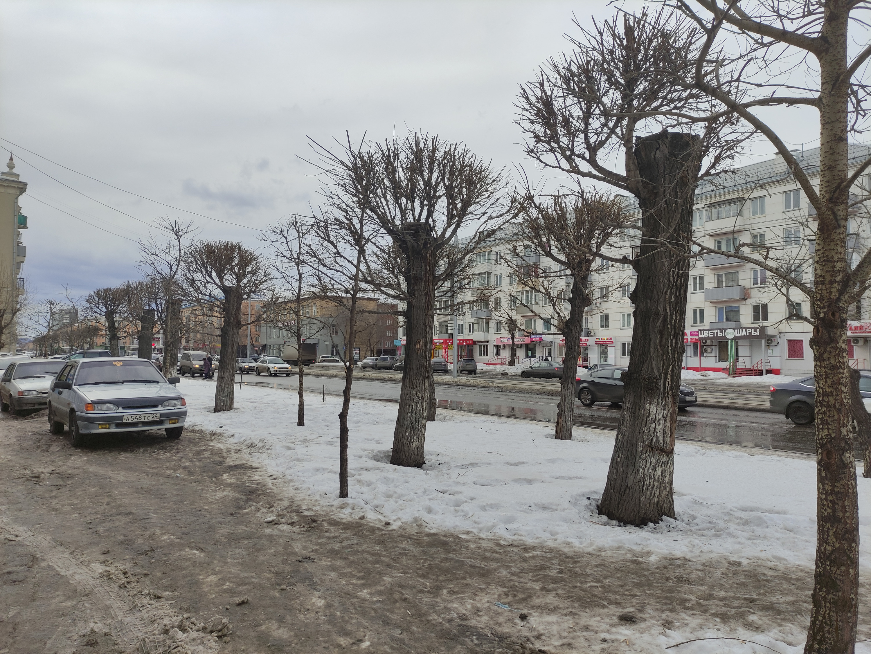 Могучие двухметровые пн Могучие двухметровые пн