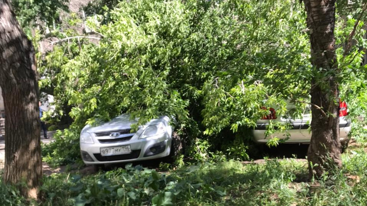 Деревья падали на людей и перегораживали дороги: последствия урагана в Екатеринбурге и области