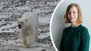 Прогулки по Арктике. Северянка рассказала, как наблюдать за белым медведем и не стать его обедом