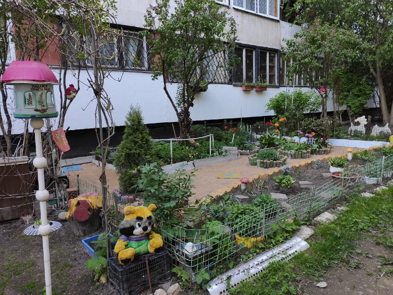На фото — обычный петербургский двор в районе, где сейчас живут сибиряки