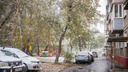 Когда ждать первый снег в Новосибирске? Сравниваем разные прогнозы