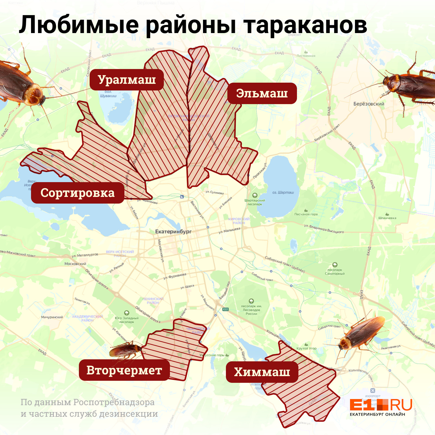 Карта тараканов екатеринбург