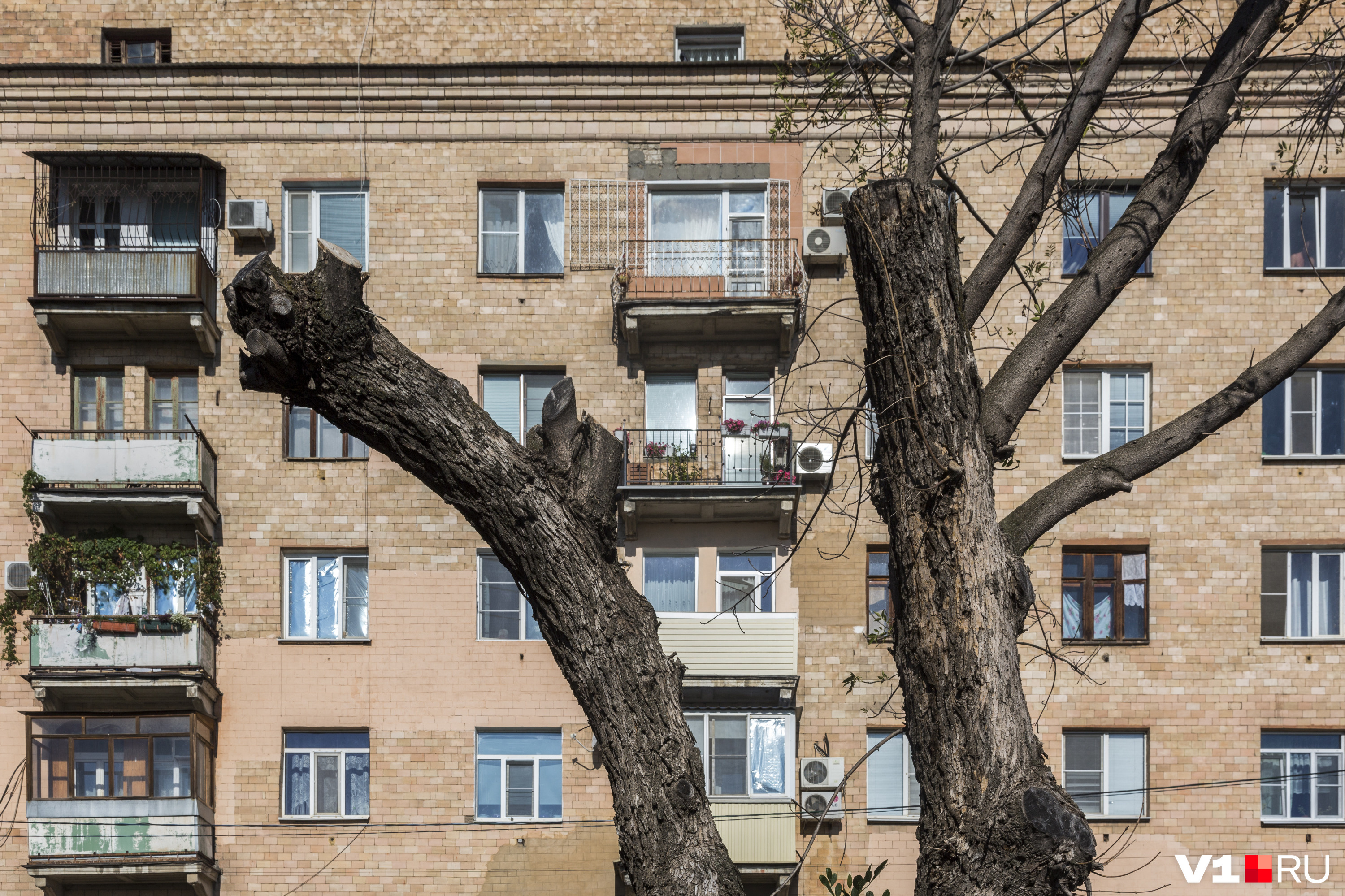 Если так выглядит самый центр Волгограда, то вы представляете, как относятся к его окраинам? Если так выглядит самый центр Волгограда, то вы представляете, как относятся к его окраинам?