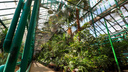 Никаких кафе: ректор ЮФУ рассказала, как изменится Ботанический сад после введения платного входа