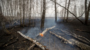 Риск природных пожаров: в Новосибирской области выпущено дополнение к экстренному предупреждению