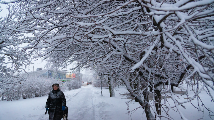 Морозы далеко не уходят: какая погода будет в Архангельской области на следующей неделе