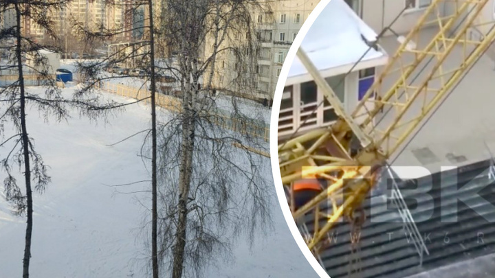 Строительный кран упал на стройке онкоцентра в Красноярске. Названы причины инцидента