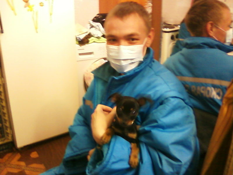 Илья очень любит животных. У него много архивных снимков с работы с питомцами своих пациентов