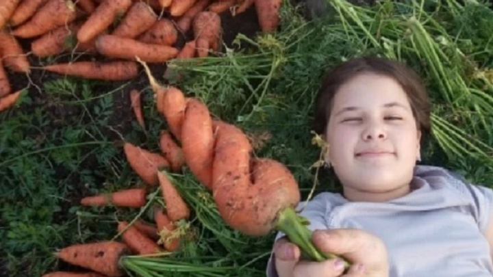 Морковь теперь как евро: цены на овощи в Свердловской области продолжают расти