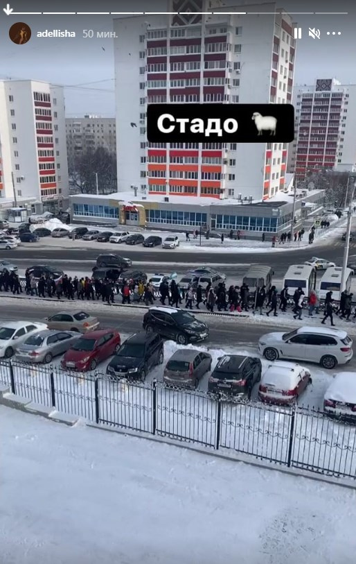Корреспондент не стеснялась в выражениях Корреспондент не стеснялась в выражениях