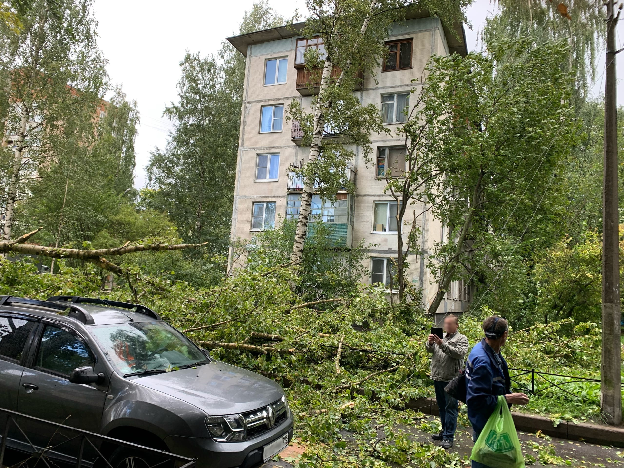 В Петербурге улицы присыпало градом, «как зимой». На Ольги Форш дерево  сдуло на машину - 3 сентября 2021 - ФОНТАНКА.ру