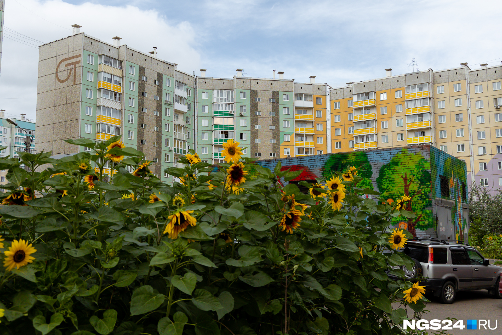 В некоторых дворах Покровского очень зелено В некоторых дворах Покровского очень зелено