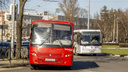 Москвичи и местные: какие перевозчики собираются работать в Ярославле после транспортной реформы