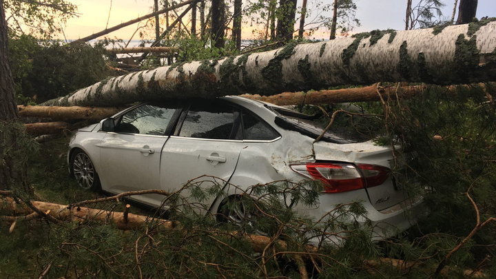 Разбитые машины и перекрытые деревьями трассы: смотрим на последствия урагана в Нижегородской области