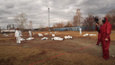 Видео «Игры в кальмара», которую устроили на стадионе в Екатеринбурге, показали на YouTube