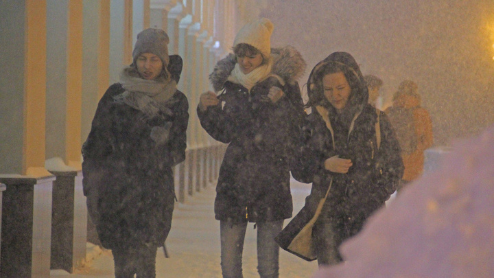 Новогодняя погода к нам спешит: в Башкирию придет снегопад
