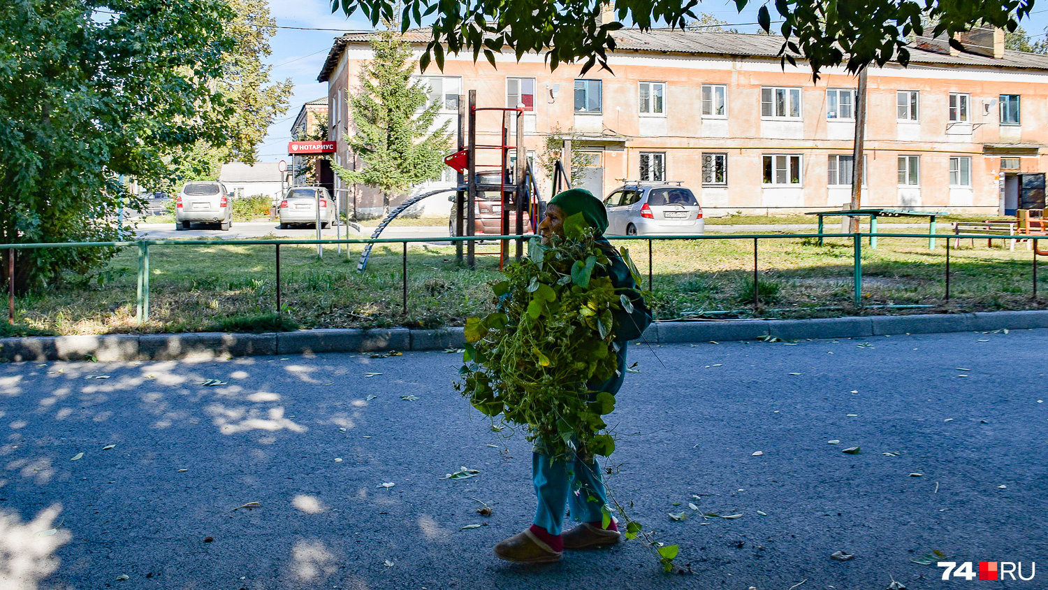 Бабушка, которая следит за палисадниками старого, но аккуратного двора Бабушка, которая следит за палисадниками старого, но аккуратного двора
