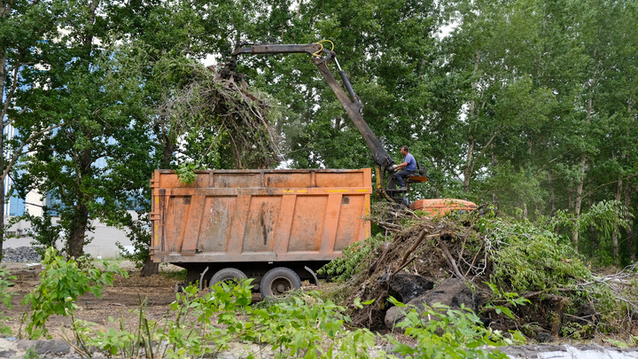 В Челябинске вырубка деревьев под школу бокса Сергея Ковалева переросла в уголовное дело