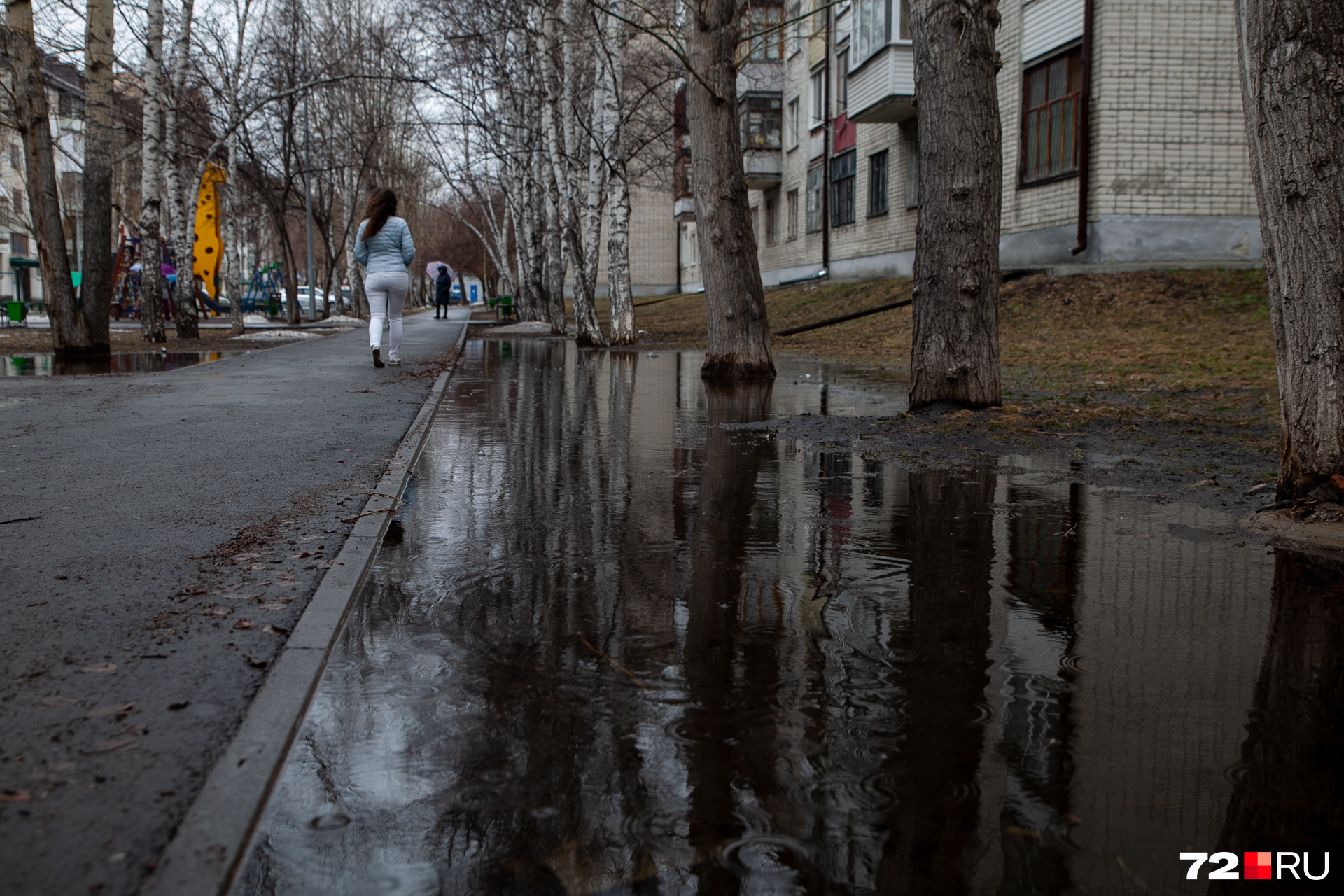 Редкий кадр — вода с газонов не переливается на тротуар. Обычно бывает наоборот Редкий кадр — вода с газонов не переливается на тротуар. Обычно бывает наоборот